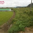 황정리 과수원 네이버블로그