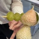 어쭈구리 노래연습장 이미지