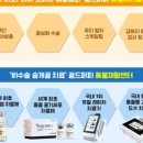 골드퍼피 이미지