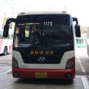 수원-1175 이미지