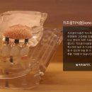 치유치과의원 이미지
