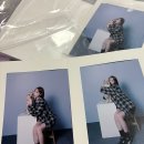 무인55 | 반려견동반 셀프촬영 무인사진관 - 하남 미사 셀프사진관 리틀인사이드 1호점 내돈내산 후기