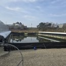 삽교천 낚시터 이미지