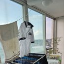 옥성그린 이미지