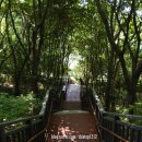 장지공원 화장실 이미지