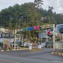 오송815