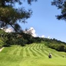 떼제베CC(대중제) 이미지