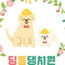 딩동댕치원 이미지