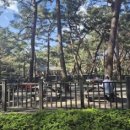 제716회 행복걷기 우이 솔밭공원길 걷기 공지 이미지