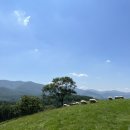 한사랑소아과의원 이미지