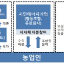 영농형 태양광 이래야 성공한다 지자체 주도 계획입지제 주목 기사 이미지