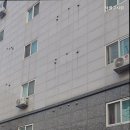 샤넬고시원