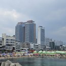비치파크모텔