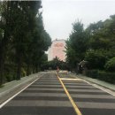 녹사평대로(동측) 네이버블로그