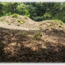 이규령 신도비 이미지