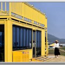 선도수선화 이미지