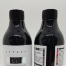 스파시스 이미지