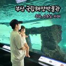 이순신도서관편의점 | 부산 국립해양박물관 주차, 수유실, 카페 및 층별안내 총정리