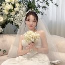 아나봄 펫살롱 | w.14 ✨트와일라잇 감성 가득한 소규모 웨딩, 음식까지 완벽했던 브라이튼하우스 강남