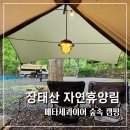 B12-2 | 장태산 자연휴양림 B12 숲속 캠핑 후기 2