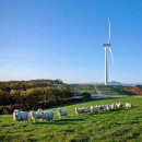 시동목장 이미지