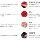 주식회사 제이비케이랩 이미지
