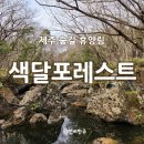 따, 숲 | 제주 숲길 어디로 갈까? 제주 휴양림 '색달포레스트'에서 힐링하자