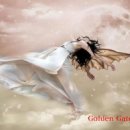 돌체비타 이미지