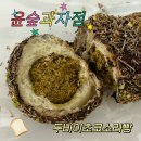 빵소라 | 윤숲 두쫀쿠 두바이초코소라팡 소금빵 크림치즈팡 맛 후기