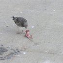 명화민박 이미지
