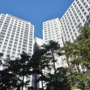 용산-113 이미지