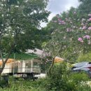 웅이네민박 이미지