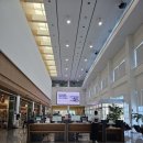 부산도서관 | 부산 강서구 명지 도서관 &#39;국회부산도서관&#39; 이용후기, 정보