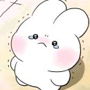 온양컴퓨터