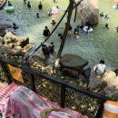 명지목산장 이미지