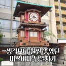 온천카 | 다카마쓰 근교 마쓰야마 당일치기 렌터카 여행 후기 도고온천 코스 정리