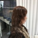 가미헤어샵 | 홍대헤어샵 아리쉬 홍대합정점 빌드펌 시술로 완성한 인생 단발 스타일링 후기