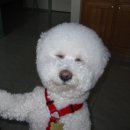 나잡아바라 이미지