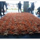 구룡포대게 이미지