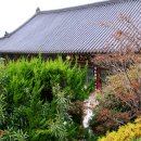 연제구-108 이미지