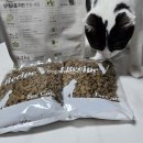 고양이 인도어사료 실내묘전용 레시피브이 에스 캣사료 헤어볼 후기