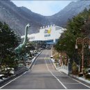 계룡산자연사박물관 이미지