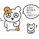 속초스트롱짐 이미지