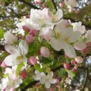 쌍곡 농장 이미지