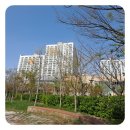 에코르 약국 이미지