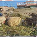 고려제2주유소 | 응암동 철거업체 주유소 철거 비용 완벽 비교 후기