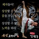 금빛 호랑이 태권도 이미지