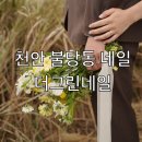 [천안] 불당동 네일 더그린네일 웨딩네일후기 :) 내돈내산