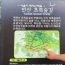 초록숲 이미지
