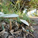 김정문화로 이미지